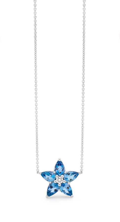 Star of Aquarius Pendant perth jewellery stores australian jewellery designers online jewellery shop perth jewellery shop jewellery shops perth perth jewellers jewellery perth jewellers in perth diamond jewellers perth bridal jewellery australia