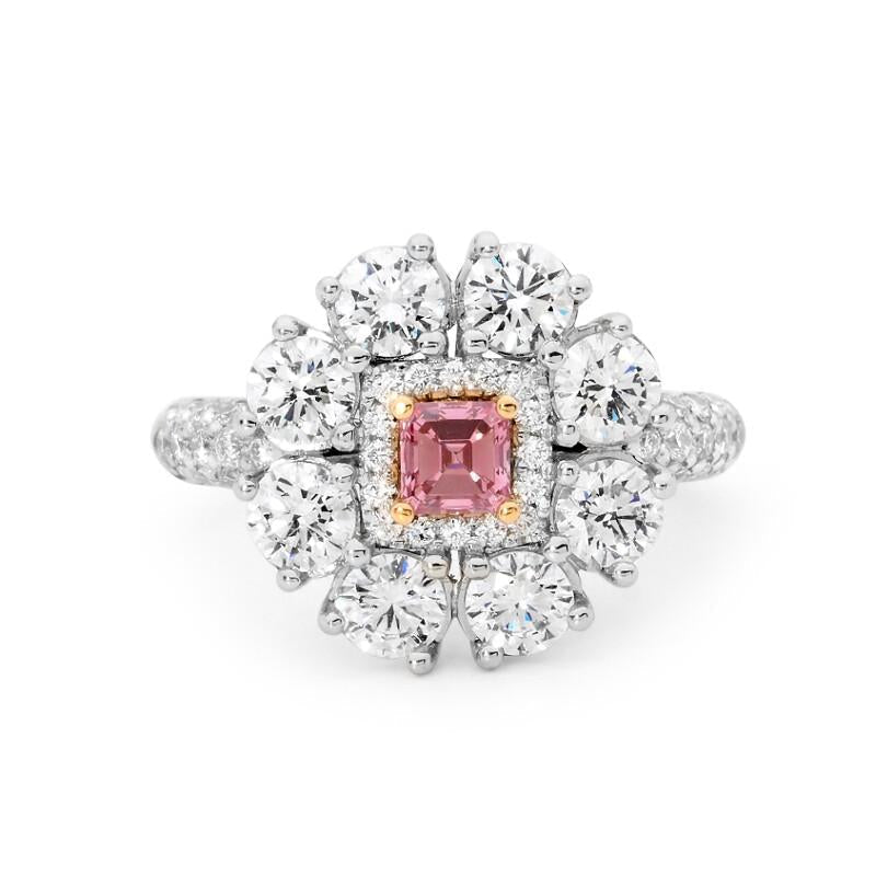 Argyle Pink Diamond Rings Perth jewellery stores perth perth jewellery stores australian jewellery designers online jewellery shop perth jewellery shop jewellery shops perth perth jewellers jewellery perth jewellers in perth diamond jewellers perth bridal jewellery australia pearl jewellery australian pearls diamonds and pearls perth engagement rings for women custom engagement rings perth custom made engagement rings perth diamond engagement rings
